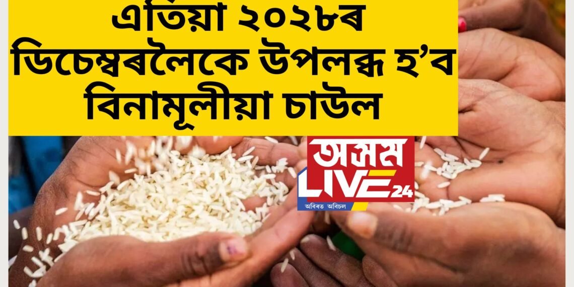 মোডী চৰকাৰৰ ডাঙৰ সিদ্ধান্ত! এতিয়া ২০২৮ চনৰ ডিচেম্বৰলৈকে উপলব্ধ হ’ব বিনামূলীয়া চাউল