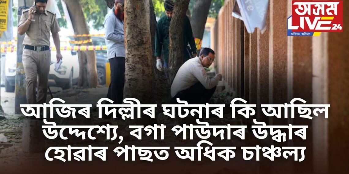 আজিৰ দিল্লীৰ ঘটনাৰ কি আছিল উদ্দেশ্যে, বগা পাউদাৰ উদ্ধাৰ হোৱাৰ পাছত অধিক চাঞ্চল্য