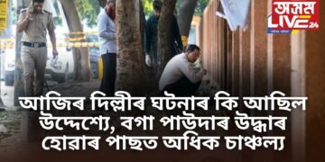 আজিৰ দিল্লীৰ ঘটনাৰ কি আছিল উদ্দেশ্যে, বগা পাউদাৰ উদ্ধাৰ হোৱাৰ পাছত অধিক চাঞ্চল্য