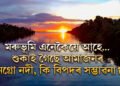 অশনি সংকেত! শুকাই আহিছে আমাজনৰ এখন উপনদী, কি হৈছে আমাজন বৰ্ষাৰণ্যত?