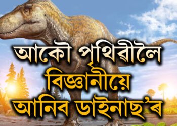 পৃথিৱীলৈ আকৌ উভতি আহি আছে ডাইনছ’ৰ যুগ, ৰোবোটিক ডাইনাছ’ৰ কি? পৃথিৱীৰ ক’ত ৰখা হ’ব এই ডাইনাছ’ৰক?