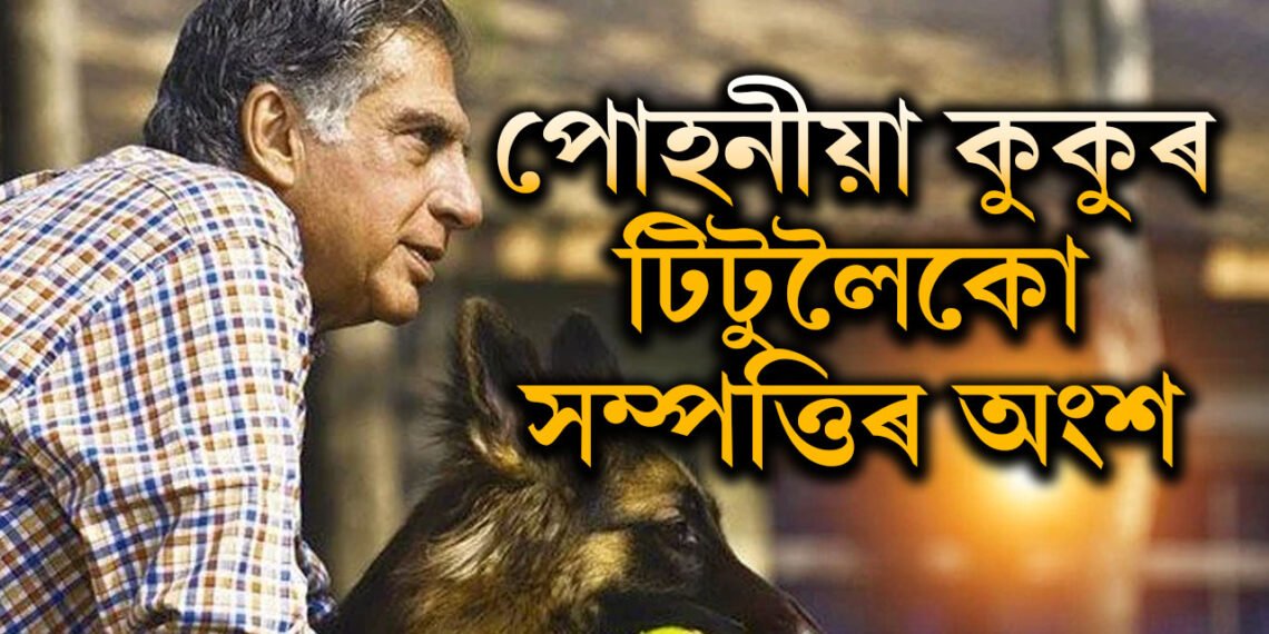সেই বাবেই তেওঁ ৰতন টাটা! উইলত লিখি গৈছে পোহনীয়া কুকুৰ টিটোৰ নাম, সম্পত্তিৰ ভাগ ৰান্ধনীলৈকো