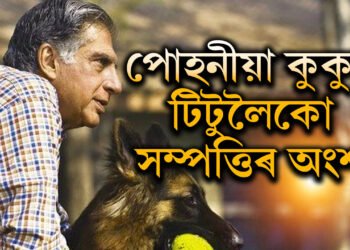 সেই বাবেই তেওঁ ৰতন টাটা! উইলত লিখি গৈছে পোহনীয়া কুকুৰ টিটোৰ নাম, সম্পত্তিৰ ভাগ ৰান্ধনীলৈকো