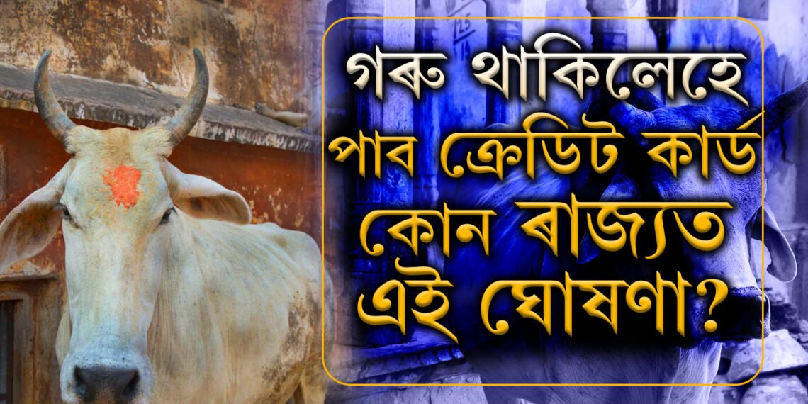 গৰু পুঁহিলেহে ক্ৰেডিট কাৰ্ড পাব, এই ৰাজ্যত আৰম্ভ হ’ল আজৱ নিয়ম