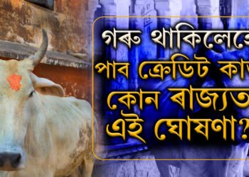 গৰু পুঁহিলেহে ক্ৰেডিট কাৰ্ড পাব, এই ৰাজ্যত আৰম্ভ হ’ল আজৱ নিয়ম