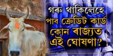 গৰু পুঁহিলেহে ক্ৰেডিট কাৰ্ড পাব, এই ৰাজ্যত আৰম্ভ হ’ল আজৱ নিয়ম