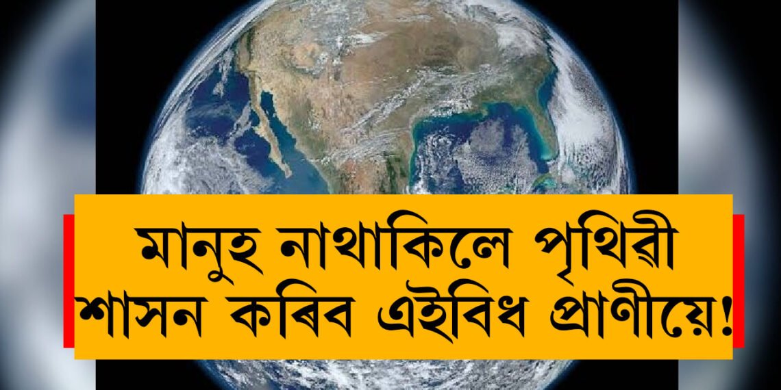 মানুহ নাথাকিলে পৃথিৱী শাসন কৰিব এইবিধ প্ৰাণীয়ে, বিজ্ঞানীয়ে দিছে আচৰিত তথ্য