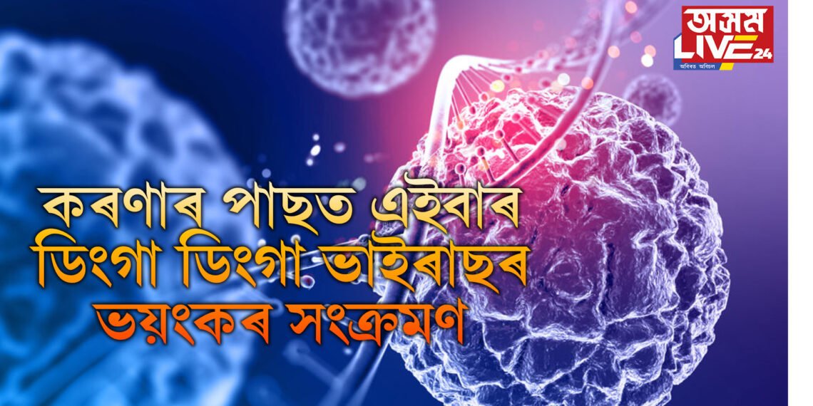 কি এই ডিংগা ডিংগা ভাইৰাছ! যাৰ ভয়ংকৰ সংক্ৰমণত হাহাকাৰ এইখন দেশত