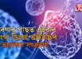 কি এই ডিংগা ডিংগা ভাইৰাছ! যাৰ ভয়ংকৰ সংক্ৰমণত হাহাকাৰ এইখন দেশত