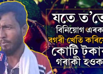 চৰকাৰলৈ বাট চাই নাথাকি কাম কৰক,স্বাৱলম্বী হওকঃ বগৰী খেতি কৰি লাখপতি এজন যুৱক