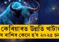 কেৰিয়াৰত উন্নতি, সাংসৰিক জীৱনত সুখ, বৃষ ৰাশিৰ জাতকৰ কেনে হ’ব ২০২৫ চন?