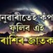 মাত্ৰ ১৪ দিন… জানুৱাৰীতেই কঁপাল ফুলিব এই ৫ৰাশিৰ, ধনসুখ বাঢ়িব নভৱাকৈয়ে