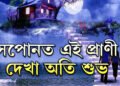 সপোনত এই প্ৰাণী দেখা অতি শুভ! জীৱনত বাঢ়িব সুখ সমৃদ্ধি