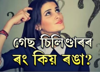 গেছ চিলিণ্ডাৰৰ ৰং কিয় ৰঙা হয়? আঁৰত আছে ডাঙৰ এক বৈজ্ঞানিক কাৰণ