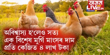 অবিশ্বাস্য হ’লেও সত্য, এক বিশেষ মুৰ্গি মাংসৰ দাম প্ৰতি কেজিত ৪ লাখ টকা