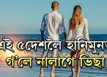 হানিমুনত বিদেশ যোৱাৰ পৰিকল্পনা? এই ৫দেশলৈ যাবলৈ নালাগে ভিছা