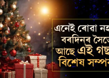 খ্ৰীষ্টমাছত বিশেষ এজোপা গছ সজোৱাৰ আঁৰত আছে বিশেষ কাৰণ! বৰদিনত এইকেইটা নিয়ম পালনৰ আঁৰত আছে কেইবাটাও ৰহস্য
