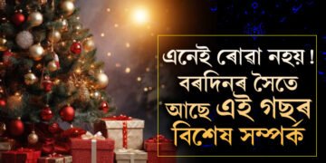 খ্ৰীষ্টমাছত বিশেষ এজোপা গছ সজোৱাৰ আঁৰত আছে বিশেষ কাৰণ! বৰদিনত এইকেইটা নিয়ম পালনৰ আঁৰত আছে কেইবাটাও ৰহস্য