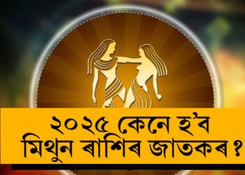 নতুন বছৰত জীৱনলৈ আহিব বিৰাট পৰিবৰ্তন, ২০২৫ কেনে হ’ব মিথুন ৰাশিৰ জাতকৰ?