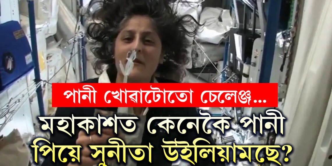 মহাকাশত কেনেকৈ পানী খায় সুনীতা উইলিয়ামছে? ভিডিঅ’যোগে কি দেখুৱালে সুনীতাই?