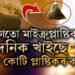 টি-বেগতো মাইক্ৰপ্লাষ্টিক! চাহত মিহলি হয় কোটি কোটি প্লাষ্টিকৰ কণা, সতৰ্কবাৰ্তা দি কি কৈছে বিজ্ঞানীয়ে?