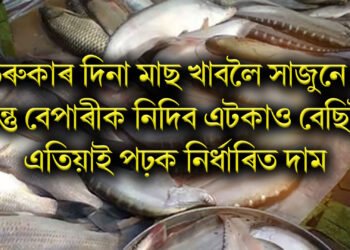 উৰুকাৰ দিনা মাছ খাবলৈ সাজুনে! কিন্তু বেপাৰীক নিদিব এটকাও বেছিকৈ, এতিয়াই পঢ়ক নিৰ্ধাৰিত দাম