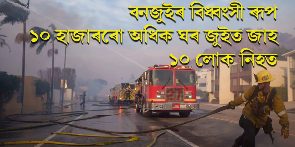 বনজুইৰ বিধ্বংসী ৰূপ, ১০ হাজাৰৰো অধিক ঘৰ জুইত জাহ, ১০ লোক নিহত