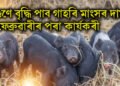 দুগুণে বৃদ্ধি পাব গাহৰি মাংসৰ দাম, ১ ফেব্ৰুৱাৰীৰ পৰা কাৰ্যকৰী
