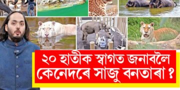 যন্ত্ৰণাময় পৰাধীন জীৱন অতীত! ২০ হাতীক স্বাগত জনাবলৈ কেনেদৰে সাজু বনতাৰা?