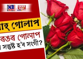 কেৱল ৰঙা গোলাপেই প্ৰেমৰ কথা নুবুজায়, ভাললগা ব্যক্তিগৰাকীক দিয়ক এই ৰঙৰ গোলাপ, সুখী হ’ব নিসন্দেহে