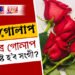 কেৱল ৰঙা গোলাপেই প্ৰেমৰ কথা নুবুজায়, ভাললগা ব্যক্তিগৰাকীক দিয়ক এই ৰঙৰ গোলাপ, সুখী হ’ব নিসন্দেহে