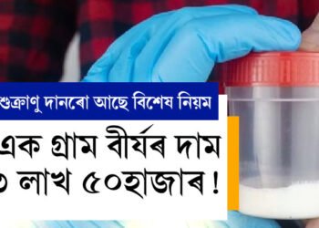 এক গ্ৰাম বীৰ্যৰ দাম ৩ লাখ ৫০হাজাৰ! শুক্ৰাণু দান পেছা হৈ উঠিছে বহুজনৰ, জানি থওক নিয়ম