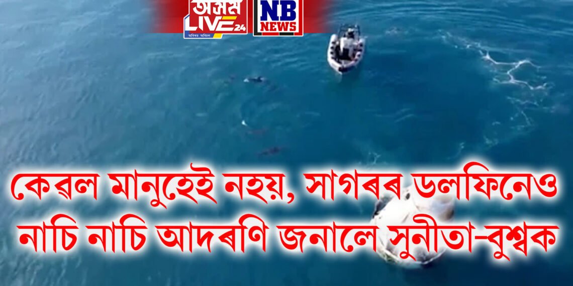 কেৱল মানুহেই নহয়, সাগৰৰ ডলফিনেও নাচি নাচি আদৰণি জনালে সুনীতা-বুশ্বক