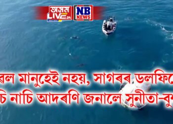 কেৱল মানুহেই নহয়, সাগৰৰ ডলফিনেও নাচি নাচি আদৰণি জনালে সুনীতা-বুশ্বক