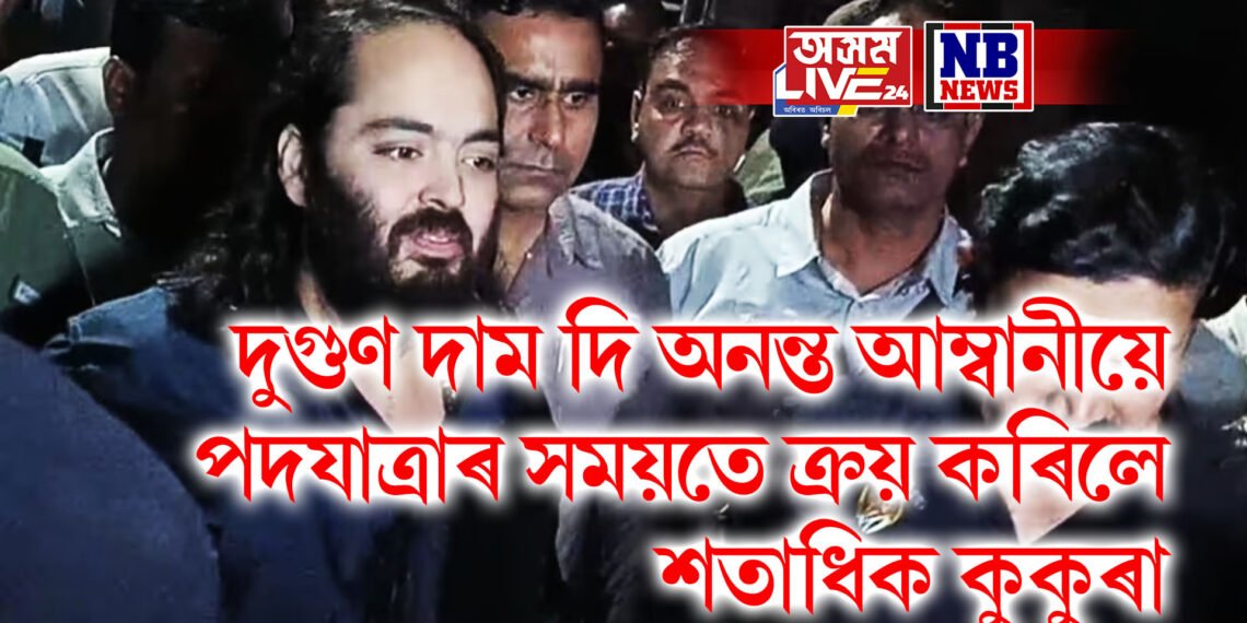 দুগুণ দাম দি অনন্ত আম্বানীয়ে পদযাত্ৰাৰ সময়তে ক্ৰয় কৰিলে শতাধিক কুকুৰা