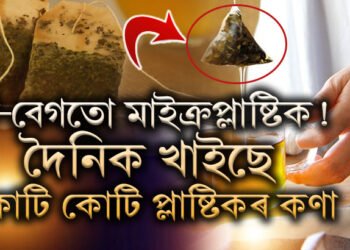 টি-বেগত মাইক্ৰপ্লাষ্টিক! চাহত মিহলি হয় কোটি কোটি প্লাষ্টিকৰ কণা, সতৰ্কবাৰ্তা দি কি কৈছে বিজ্ঞানীয়ে?