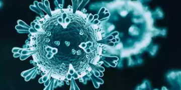 নিপা ভাইৰাছৰ টিকা তৈয়াৰৰ পথত আগুৱাইছে ভাৰত, কিমান বিপজ্জনক এই ভাইৰাছ?