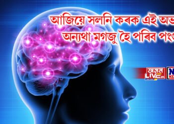 আজিয়ে সলনি কৰক এই অভ্যাস, অন্যথা মগজু হৈ পৰিব পংগু