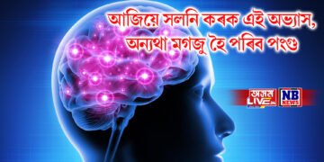 আজিয়ে সলনি কৰক এই অভ্যাস, অন্যথা মগজু হৈ পৰিব পংগু