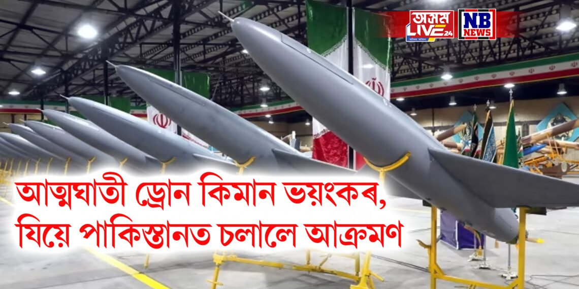 আত্মঘাতী ড্ৰোন কিমান ভয়ংকৰ, যিয়ে পাকিস্তানত চলালে আক্ৰমণ
