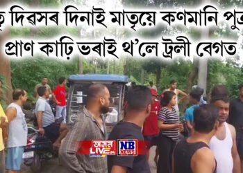 মাতৃ দিৱসৰ দিনাই মাতৃয়ে কণমানি পুত্ৰৰ প্ৰাণ কাঢ়ি ভৰাই থ’লে ট্ৰলী বেগত