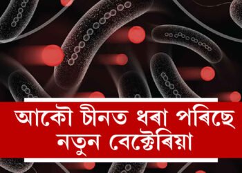 চীনত ধৰা পৰিছে নতুন বেক্টেৰিয়া, চিন্তাত বিশ্ববাসী, চীনৰ ক’ত পোৱা গৈছে এই বেক্টেৰিয়া?