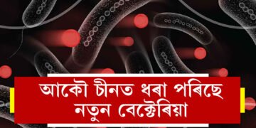 চীনত ধৰা পৰিছে নতুন বেক্টেৰিয়া, চিন্তাত বিশ্ববাসী, চীনৰ ক’ত পোৱা গৈছে এই বেক্টেৰিয়া?