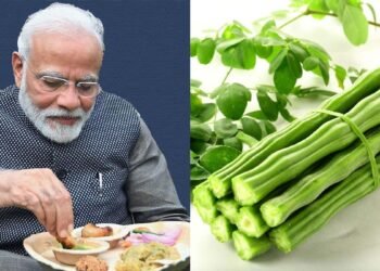 প্রধানমন্ত্ৰীৰ প্ৰিয় এই পাচলি খালেই বাঢ়ে ৰোগ প্ৰতিৰোধ ক্ষমতা, কি কি উপকাৰী গুণ আছে এই পাচলিৰ?