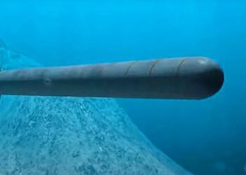 পানীৰ তলত এই ব্ৰহ্মাস্ত্ৰ ফাটিলেই আহিব ছুনামী, মাত্ৰ দুখন দেশৰ হাতত আছে এই মাৰণাস্ত্ৰ