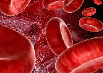 এবটল তেজৰ বাবে হাহাকাৰ কৰাৰ দিন শেষ! প্ৰাণ ৰক্ষা কৰিব কৃত্ৰিম তেজে, ডাঙৰ আৱিষ্কাৰ জাপানী বিজ্ঞানীৰ, বজাৰত কেতিয়া উপলব্ধ হ’ব এই ৰক্ত?