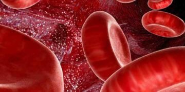 এবটল তেজৰ বাবে হাহাকাৰ কৰাৰ দিন শেষ! প্ৰাণ ৰক্ষা কৰিব কৃত্ৰিম তেজে, ডাঙৰ আৱিষ্কাৰ জাপানী বিজ্ঞানীৰ, বজাৰত কেতিয়া উপলব্ধ হ’ব এই ৰক্ত?