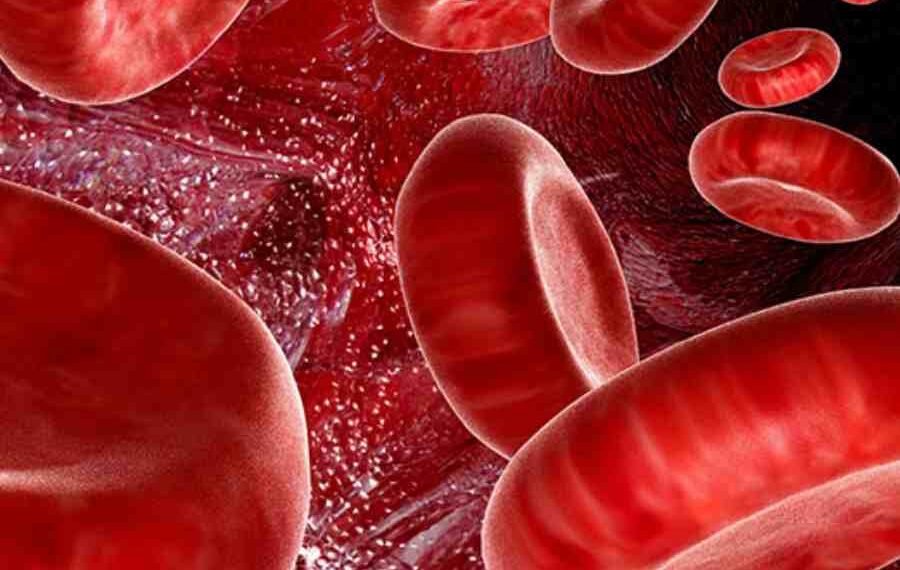 এবটল তেজৰ বাবে হাহাকাৰ কৰাৰ দিন শেষ! প্ৰাণ ৰক্ষা কৰিব কৃত্ৰিম তেজে, ডাঙৰ আৱিষ্কাৰ জাপানী বিজ্ঞানীৰ, বজাৰত কেতিয়া উপলব্ধ হ’ব এই ৰক্ত?