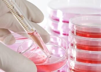 টেবলেট খালেই নিৰ্মূল হ’ব ব্লাডকেন্সাৰ! নতুন ঔষধ আনিছে এই দেশে, কিমান দাম হ’ব ভাৰতত এই ঔষধৰ?