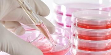 টেবলেট খালেই নিৰ্মূল হ’ব ব্লাডকেন্সাৰ! নতুন ঔষধ আনিছে এই দেশে, কিমান দাম হ’ব ভাৰতত এই ঔষধৰ?